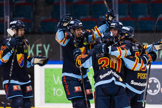 Djurgårdens spelare jublar