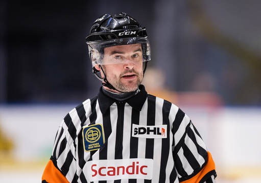 Domare Rikard Ferngren