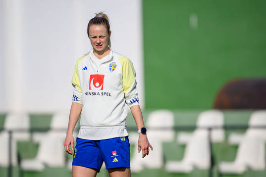 Amanda Ilestedt of Sweden of the women's national football