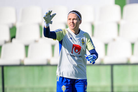 Goalkeeper Jennifer Falk of Sweden of the women's national
