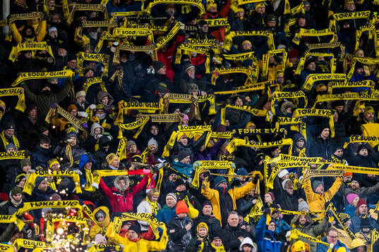 Spectators in the stands