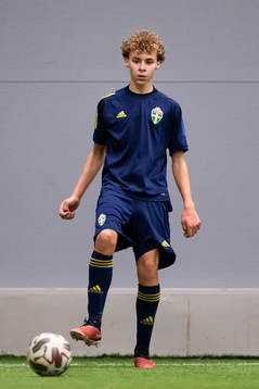 Vincent Seger Ibrahimovic