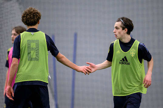 Vincent Seger Ibrahimovic and Millian Jansson