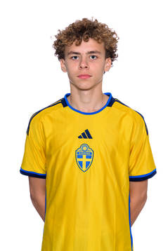 Vincent Seger Ibrahimovic