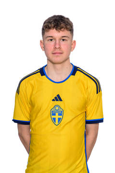 Edis Mededovic