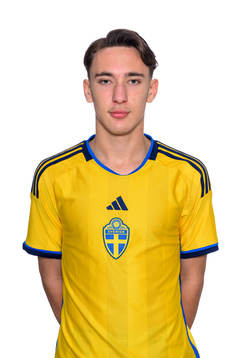 Edwin Ibrahimbegovic
