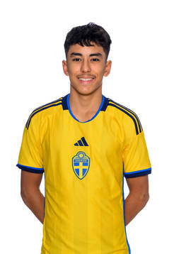 Bläddra bland fler bilder av Fotboll, Sverige, P15, Porträtt