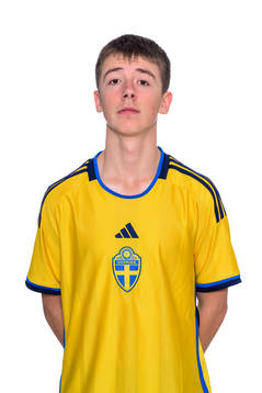 Viggo Rosell