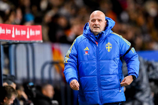 Assistant coach Magnus Wikman of Sweden