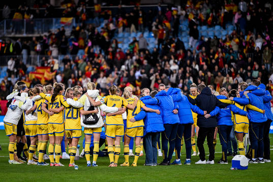 Players of Sweden