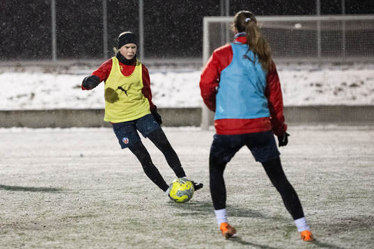 Helsingborgs spelare