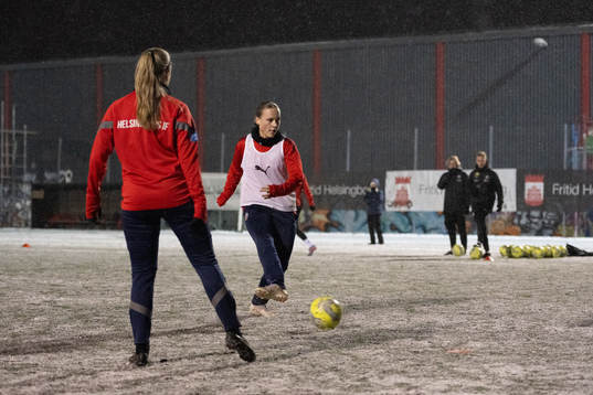 Helsingborgs spelare