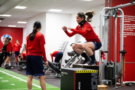 Helsingborgs spelare