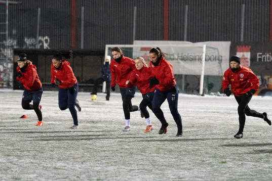 Helsingborgs spelare