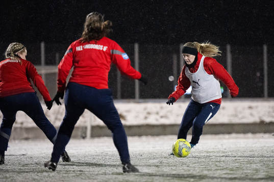 Helsingborgs Maja Steven
