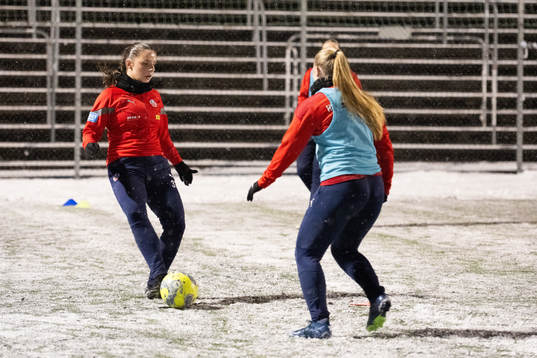 Helsingborgs Blenisa Sugejani