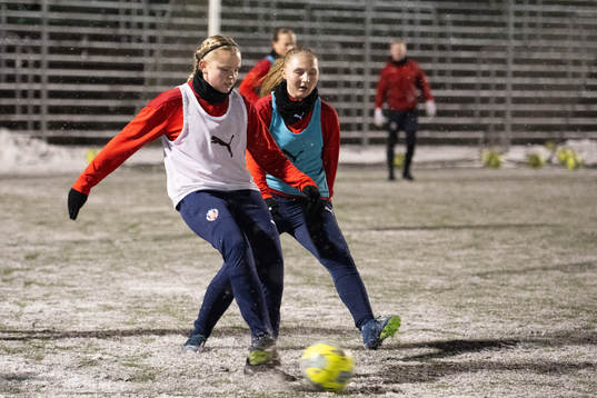 Helsingborgs Agnes Eklöf