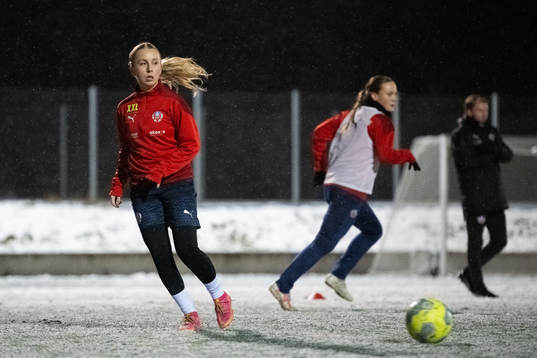 Helsingborgs Ebba Borg