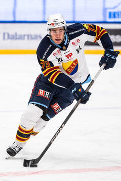 Djurgårdens Anton Gradin