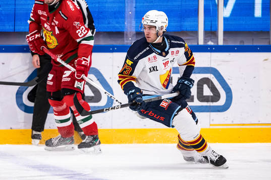 Djurgårdens Anton Gradin