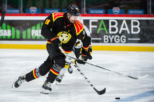 Brynäs Anton Rödin