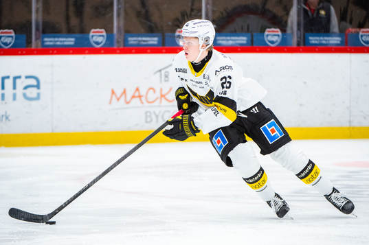 Västerås Elias Pettersson