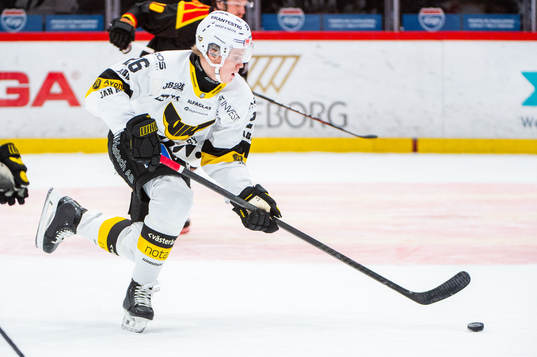 Västerås Elias Pettersson