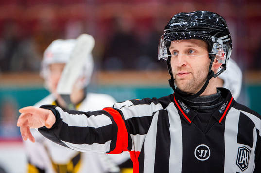 Domare Niklas Johansson