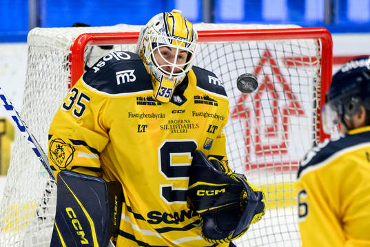 Södertäljes målvakt Tomas Sholl