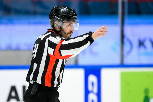 Domare Mattias Enroth