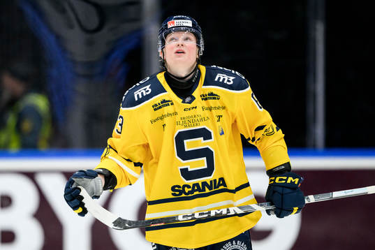Södertäljes Julius Bergman