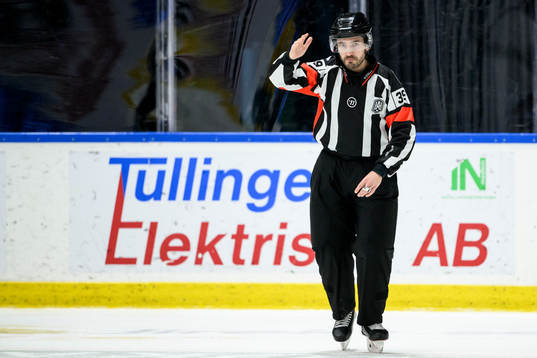 Domare Mattias Enroth