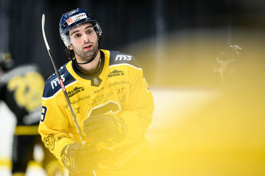 Södertäljes Stelio Mattheos