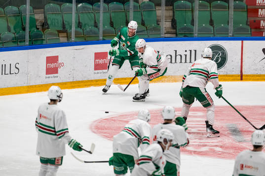 Ludvig Claesson och Henry Bowlby