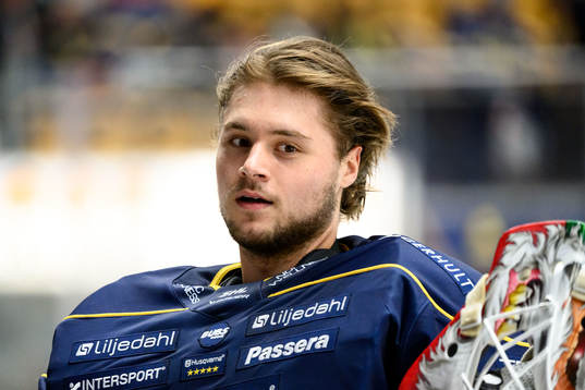 HV 71s målvakt Frederik Dichow