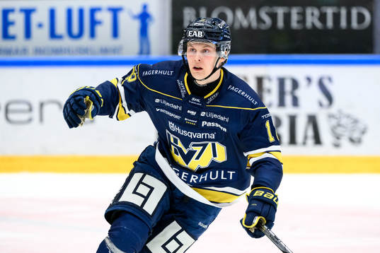 HV71s Hugo Pettersson