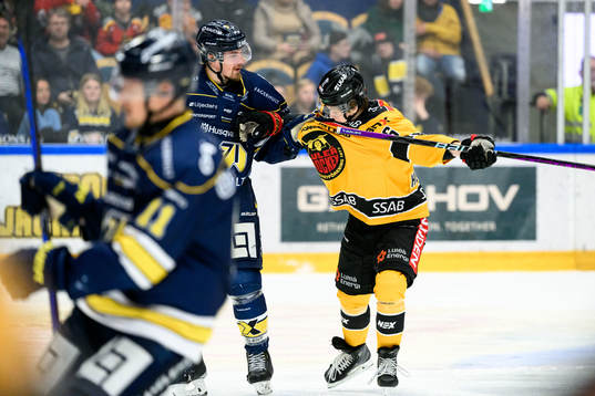 HV71s Mikael Seppälä och Luleås Isac Hedqvist