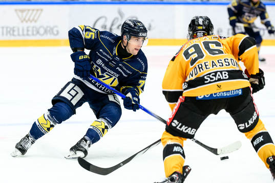 HV71s Radan Lenc