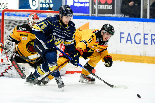 HV71s Radan Lenc och Luleås Nikola Pasic