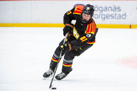 Brynäs Anna Brenkle