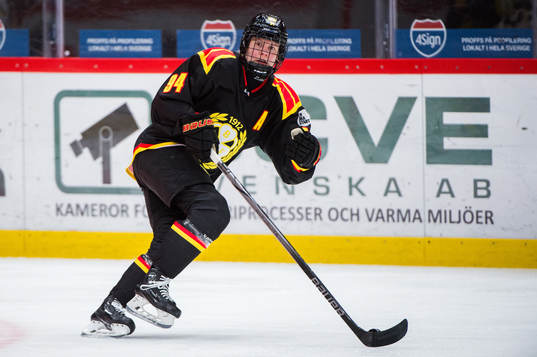 Brynäs Anna Meixner