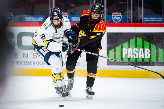 HV71s Emmi Rakkolainen och Brynäs Anna Meixner