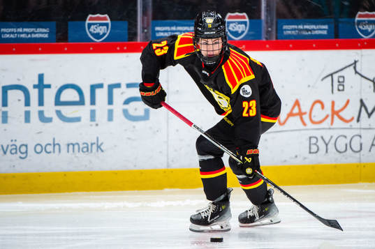 Brynäs Moa Wernblom
