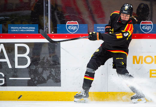 Brynäs Jenniina Nylund