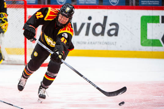 Brynäs Sini Karjalainen