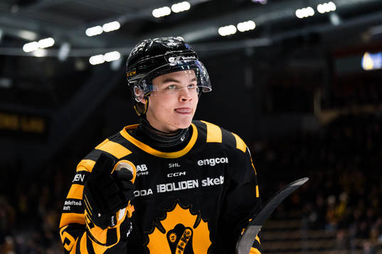 Bläddra bland fler bilder av Ishockey, SHL, Skellefteå - Rögle