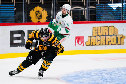 Skellefteås Andreas Johnson jublar