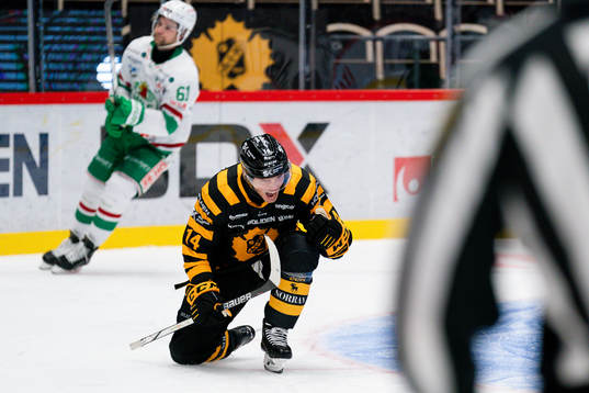 Skellefteås Andreas Johnson jublar