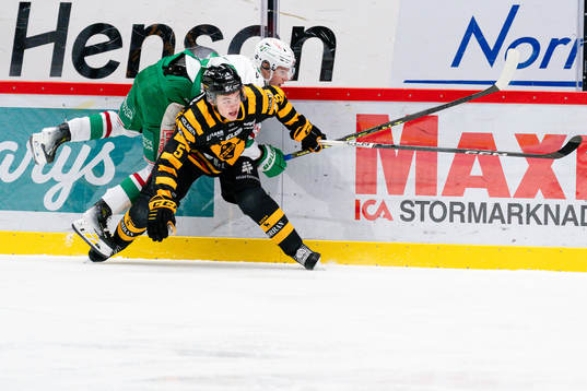 Skellefteås Axel Sandin Pellikka