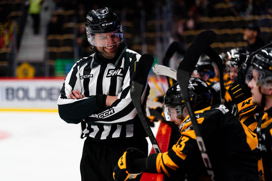 Linjedomare Emil Yletyinen